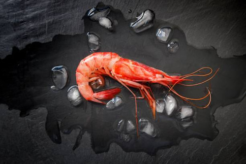 قیمت عمده میگو پرورشی سایز 140